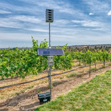 Bird Gard Super Pro Amp Instalado em Cultivo