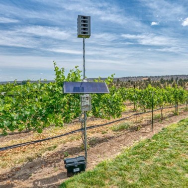 Bird Gard Super Pro Amp Instalado em Cultivo